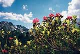 Oberstdorf Natur