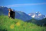 Oberstdorf Natur