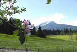 Oberstdorf Natur